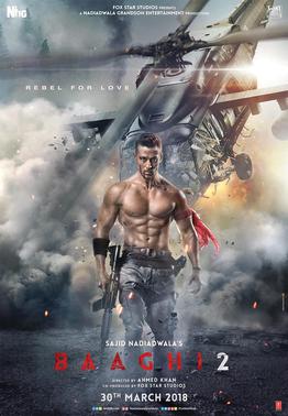 Baaghi 2 Hindi Movie (2018)